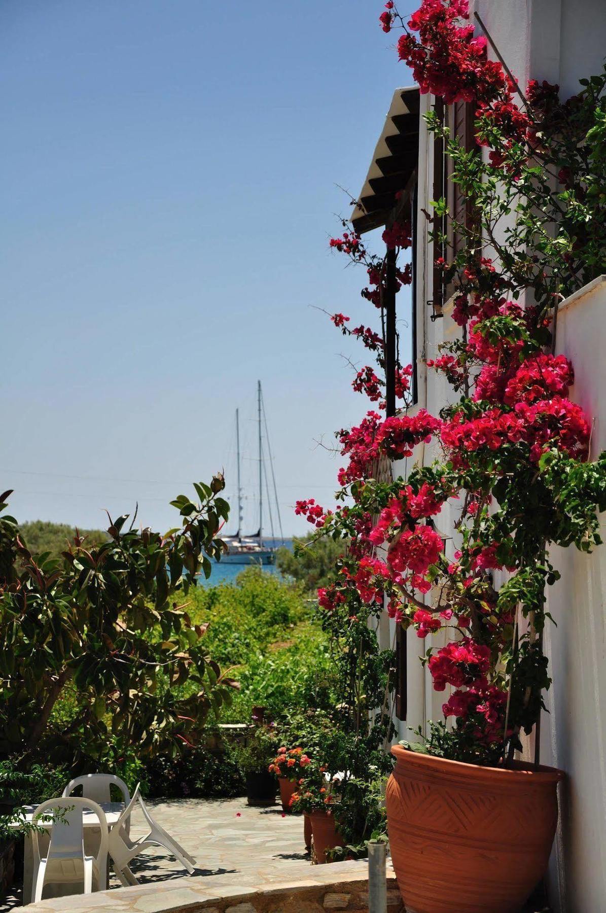 Michalis Apartments Near The Beaches With Sea View Páros Exterior foto
